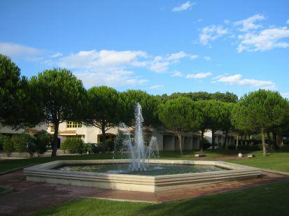 Bureau Montpellier 345m² Location bureau Montpellier Hérault OLBUR2317714 3